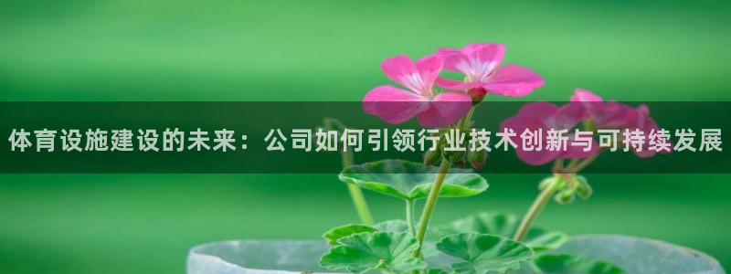 凯捷体育娱乐首页网站大全：体育设施建设的未来：公司如