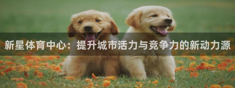 凯捷体育招商电话号码是多少啊：新星体育中心：提升城市