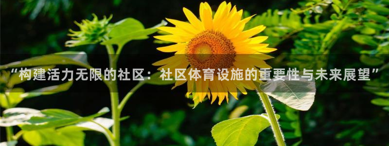 凯捷体育平台假的吗是真的吗吗：“构建活力无限的社区：