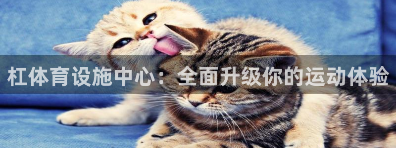 凯捷体育平台假的吗是真的吗吗：杠体育设施中心：全面升