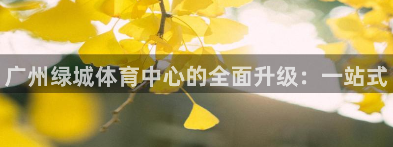 凯捷体育是干嘛的公司：广州绿城体育中心的全面升级：一