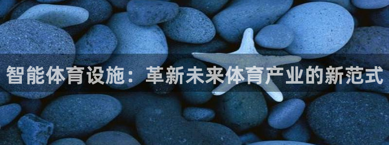 凯捷体育开户：智能体育设施：革新未来体育产业的新范式