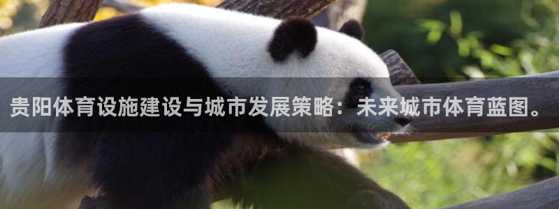 凯捷体育平台假的吗是真的吗吗：贵阳体育设施建设与城市
