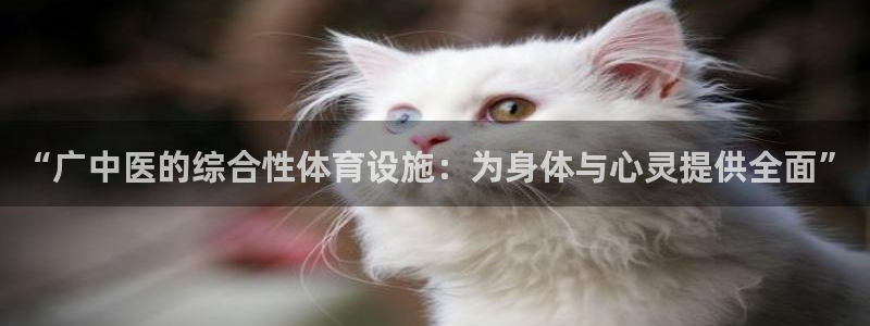凯捷平台体育：“广中医的综合性体育设施：为身体与心灵