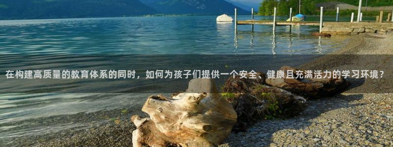 凯捷体育平台注册流程视频：在构建高质量的教育体系的同