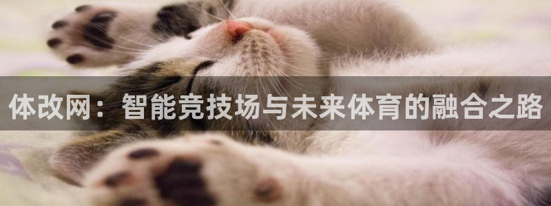 凯捷体育招商电话是多少：体改网：智能竞技场与未来体育