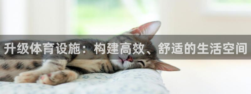 凯捷体育集团官网网址：升级体育设施：构建高效、舒适的