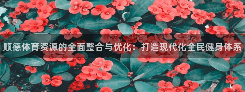 凯捷体育招商电话号码是多少啊：顺德体育资源的全面整合