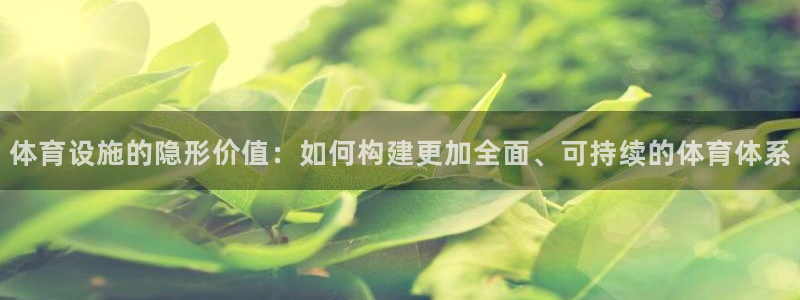 凯捷体育娱乐代理怎么样：体育设施的隐形价值：如何构建