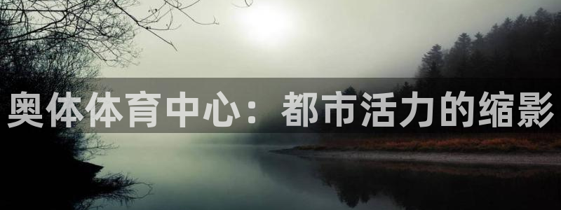 凯捷体育集团简介：奥体体育中心：都市活力的缩影