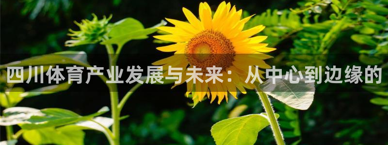 海南凯捷体育发展怎么样：四川体育产业发展与未来：从中