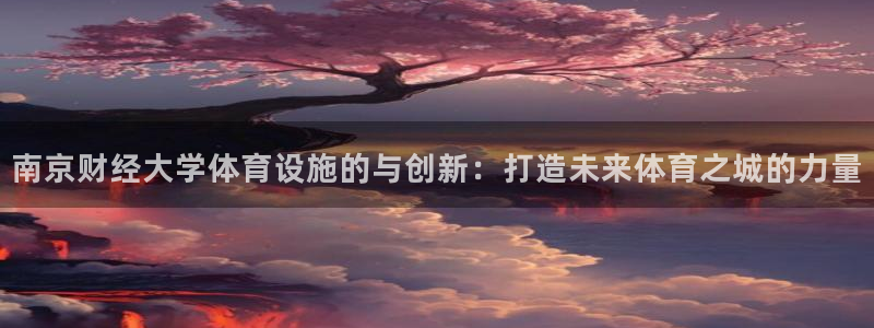 凯捷体育集团logo：南京财经大学体育设施的与创新：
