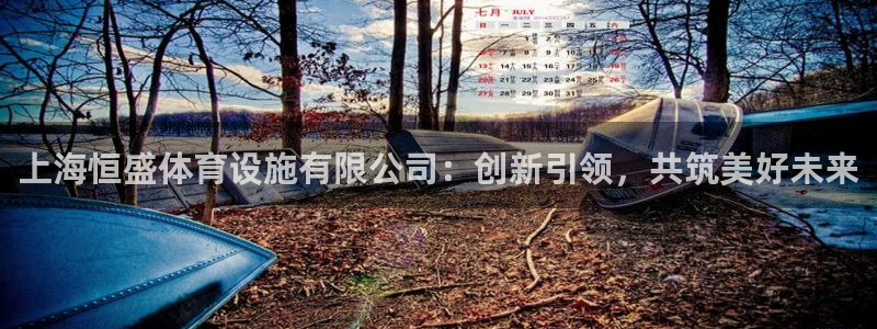凯捷体育平台注册流程图：上海恒盛体育设施有限公司：创