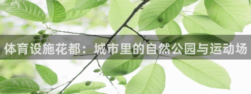 凯捷体育开户：体育设施花都：城市里的自然公园与运动场