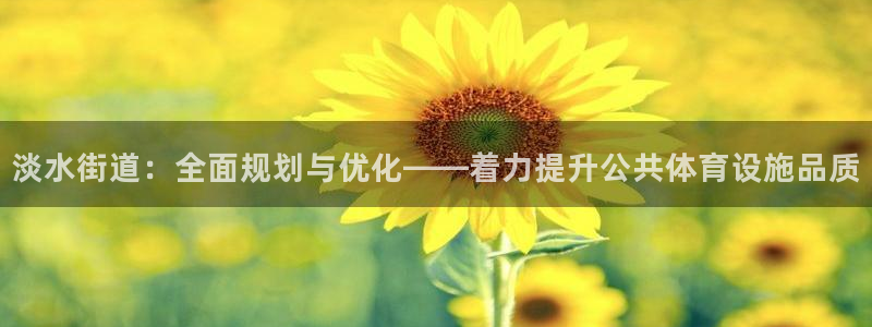 凯捷体育娱乐首页网站大全：淡水街道：全面规划与优化—