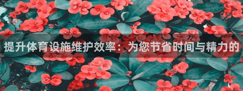 注册凯捷体育：提升体育设施维护效率：为您节省时间与精