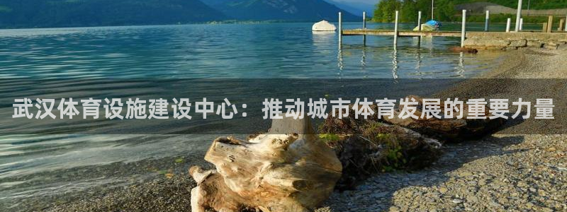 凯捷体育官网：武汉体育设施建设中心：推动城市体育发展