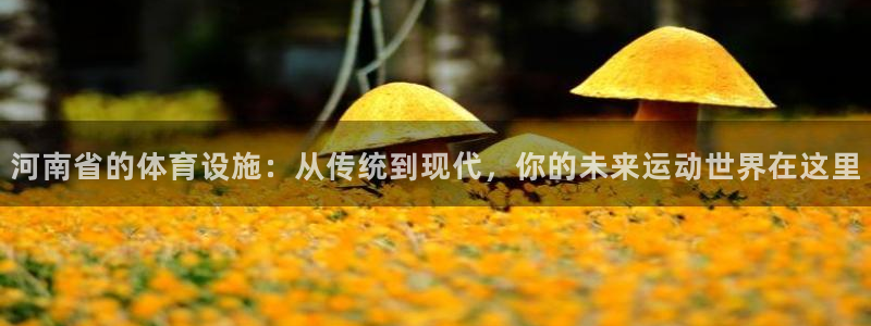 海南凯捷体育发展怎么样