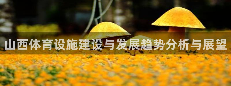 凯捷体育招商电话地址：山西体育设施建设与发展趋势分析