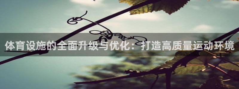 凯捷体育平台注册：体育设施的全面升级与优化：打造高质
