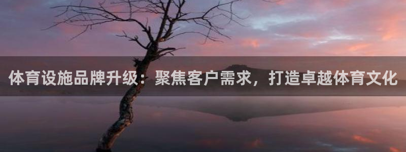 凯捷体育娱乐：体育设施品牌升级：聚焦客户需求，打造卓
