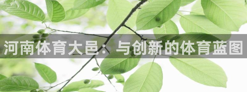 注册凯捷体育：河南体育大邑：与创新的体育蓝图