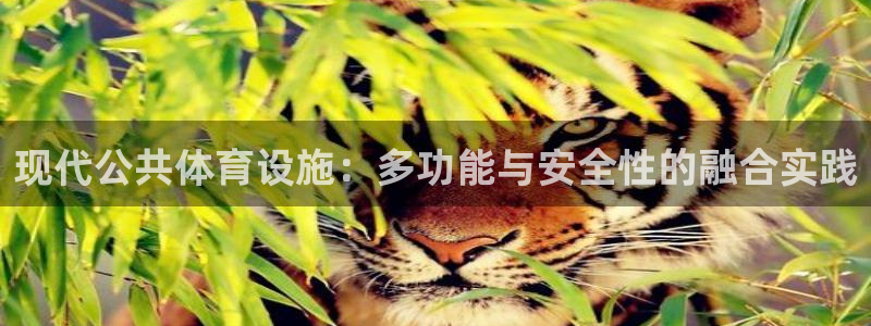 凯捷体育平台是正规平台吗安全吗：现代公共体育设施：多功能与安