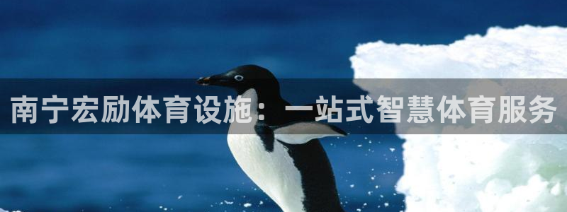 凯捷体育集团E.ON：南宁宏励体育设施：一站式智慧体育服务