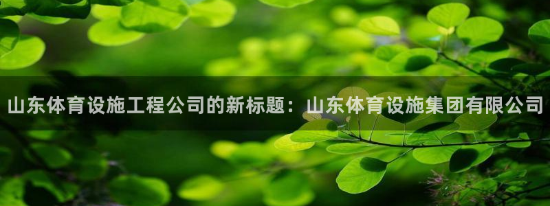 凯捷体育平台假的吗是真的吗吗：山东体育设施工程公司的新标题： 