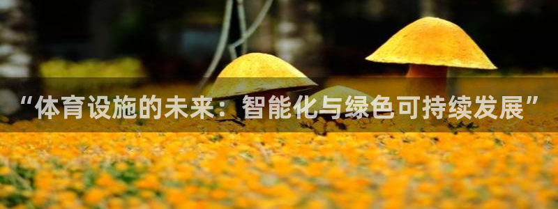 凯捷体育集团logo：“体育设施的未来：智能化与绿色可持续发