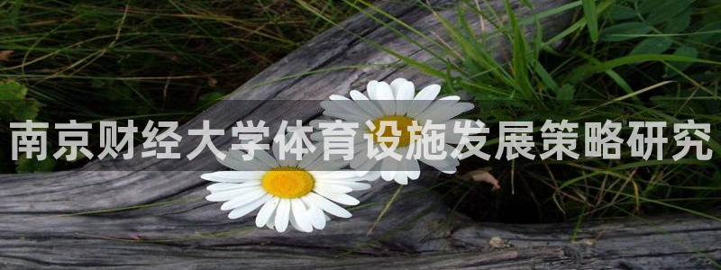 凯捷体育新能源：南京财经大学体育设施发展策略研究
