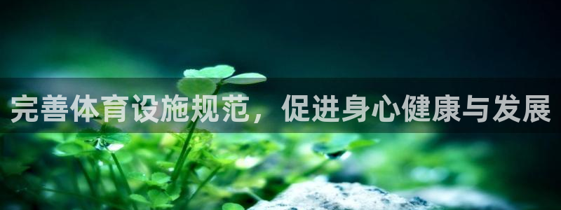 凯捷集团官网：完善体育设施规范，促进身心健康与发展
