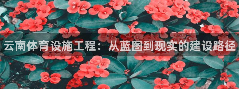 凯捷体育招商电话是多少啊：云南体育设施工程：从蓝图到现实的建