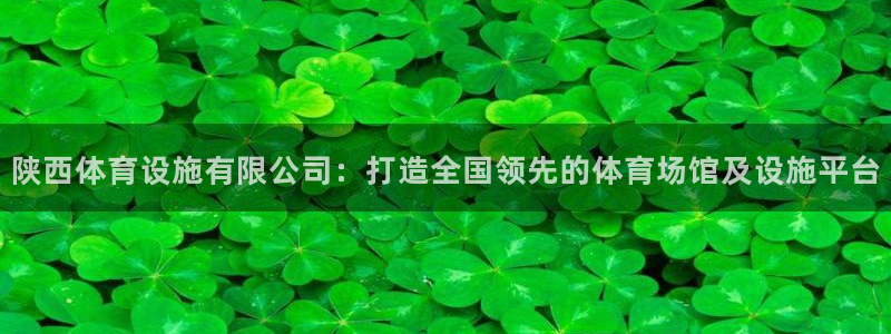 凯捷体育平台假的吗是真的吗吗：陕西体育设施有限公司：