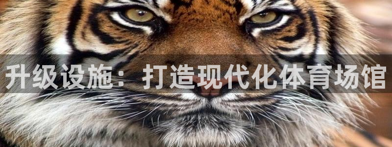 凯捷体育招商电话号码是多少：升级设施：打造现代化体育
