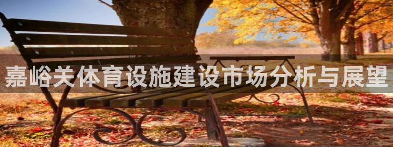 凯捷体育平台注册要钱吗安全吗：嘉峪关体育设施建设市场