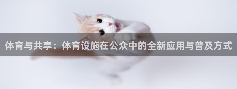 德国凯捷体育集团：体育与共享：体育设施在公众中的全新