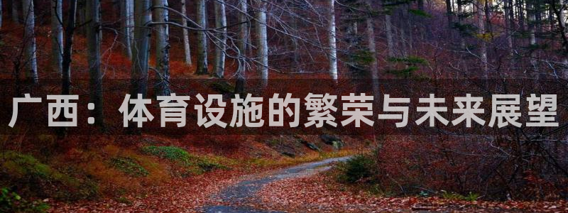 凯捷体育娱乐是那个系列的台子：广西：体育设施的繁荣与