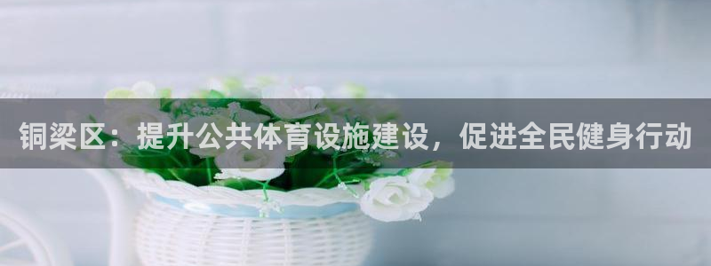 凯捷体育是干嘛的公司：铜梁区：提升公共体育设施建设，