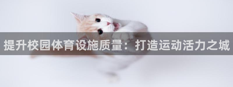 凯捷体育集团E.ON：提升校园体育设施质量：打造运动
