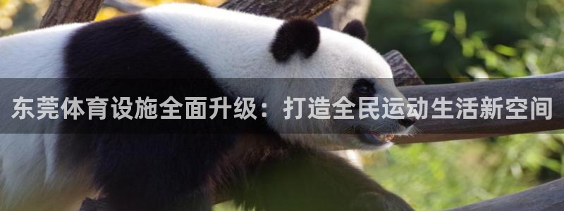 凯捷体育招商电话号码查询是多少：东莞体育设施全面升级