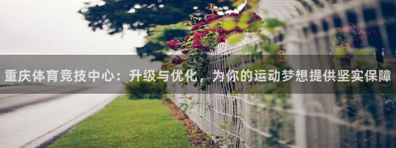 凯捷体育平台是正规平台吗安全吗：重庆体育竞技中心：升