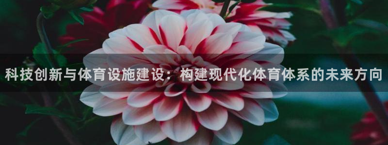 凯捷体育平台假的吗是真的吗吗：科技创新与体育设施建设