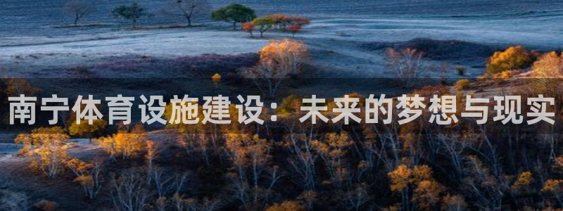 凯捷体育娱乐：南宁体育设施建设：未来的梦想与现实