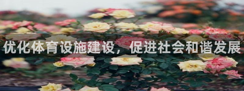 凯捷体育平台注册流程视频：优化体育设施建设，促进社会