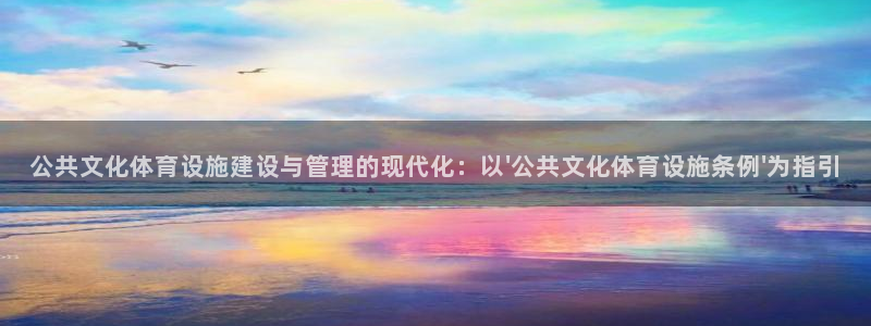 凯捷体育平台APP：公共文化体育设施建设与管理的现代