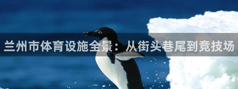 凯捷体育娱乐网站：兰州市体育设施全景：从街头巷尾到竞