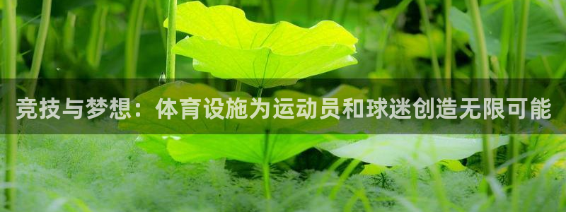 凯捷体育招商电话号码是多少啊：竞技与梦想：体育设施为