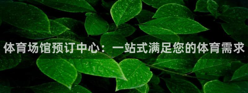 德国凯捷体育集团：体育场馆预订中心：一站式满足您的体