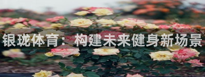 凯捷体育招商电话号码是多少